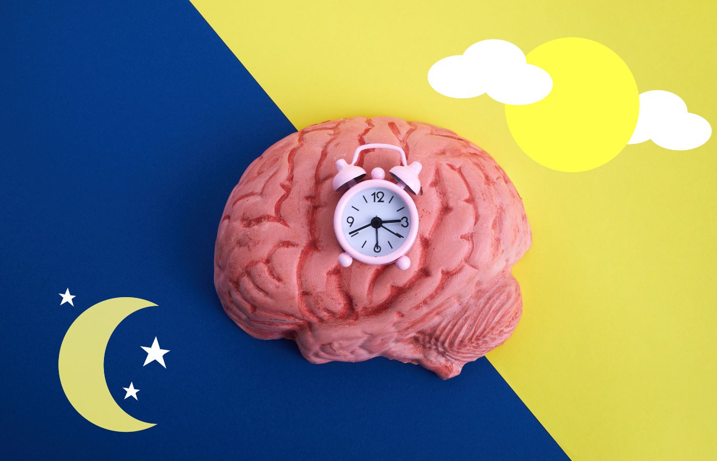 Dormir bien es fundamental para la salud de nuestro cerebro